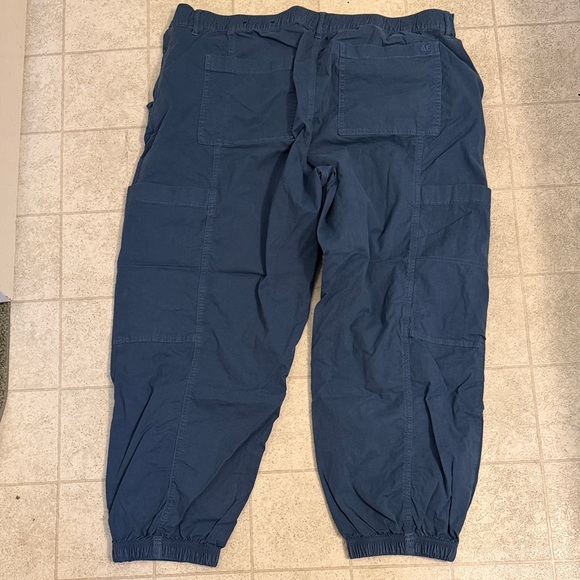 American Eagle Outfitters Navy Jogger Pants - Picture 9 of 11